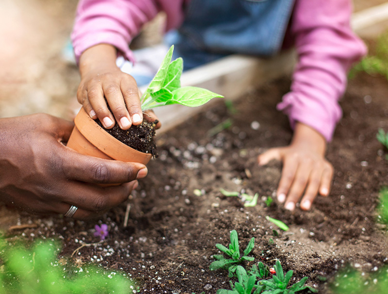 Gardening at Meadow Village at Tracy Hills